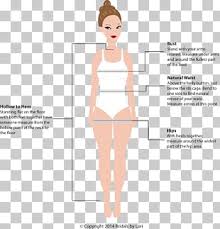 60 Hip Size Png Cliparts For Free Download Uihere