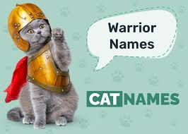 350 warrior cat names ideas for your