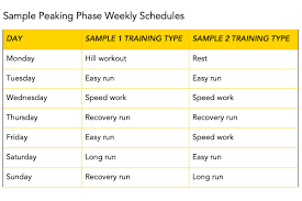 the basics of creating a training plan