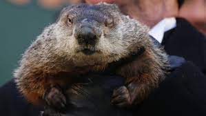 Does Groundhog Day Change gambar png