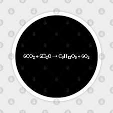 Photosynthesis Equation Biology And