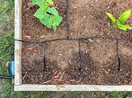 how to install a drip irrigation system