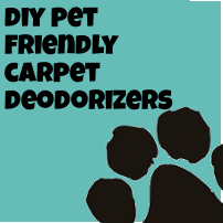 diy dog friendly carpet deodorizers