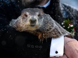 Groundhog Day: Punxsutawney Phil Predicts 6 More Weeks Of Winter : NPR