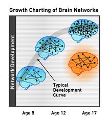 Can A Brain Growth Chart Predict Adhd Futurity