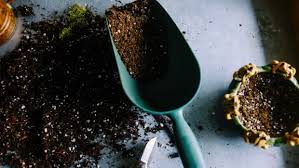 How To Sterilize Potting Soil By Baking