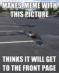 Optimistic Goose memes | quickmeme via Relatably.com