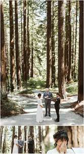 uc berkeley botanical garden redwood