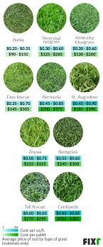 sod installation cost cost to lay sod