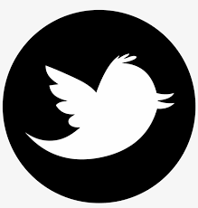 Logo Twitter Png Noir - Twitter Icon Vector Circle PNG Image | Transparent PNG Free Download on SeekPNG