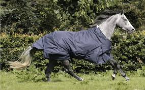 waterproof horse outdoor blanket