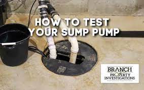 How To Test Your Sump Pump Branch
