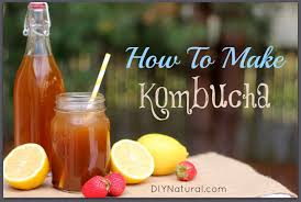 how to make kombucha a kombucha recipe