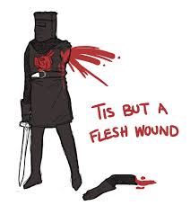 Image result for knights with wounds
