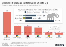Chart Elephant Poaching In Botswana Shoots Up Statista