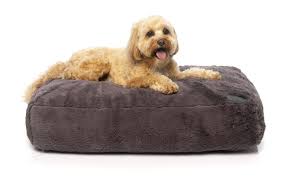 *fast and free* shipping on orders $49+ and the best. Nanook Dog Bed Medium The Natural Pet Store