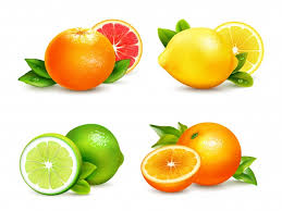 Orange Vectors Photos And Psd Files Free Download
