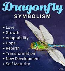 a dragonfly spirit