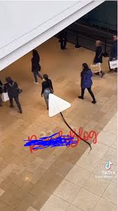 Lady Draws Stares At Mall As She Walks