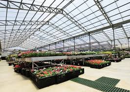 Greenhouse Garden Center Israel