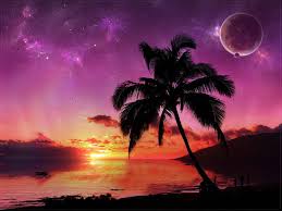 Download this free picture about mountains moon sunset from pixabay's vast library of. Hd Wallpaper Palm Tree And Moon Sunset Planet Palma Sky Tropical Climate Wallpaper Flare