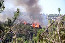 Jun 09, 2021 · şanlıurfa'nın siverek ilçesinde, buğday tarlasında çıkan yangın nedeniyle 80 dönümlük ekili alan yanarak büyük bir hasar meydana geldi. Jswmgpep4tfwsm