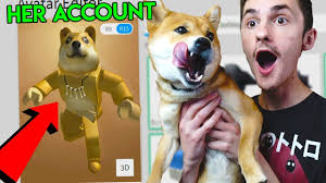 Once the player equips the gear, a wow! sound will play. Making My Dog A Roblox Account Doge Youtube