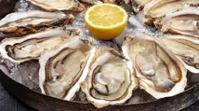 Where are the best oysters in the US?
