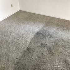 edmonton alberta carpet cleaning
