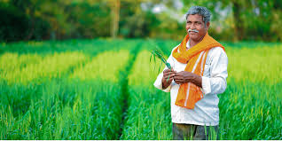How the small Indian farmer can turn the wheels of sustainable agriculture