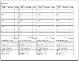 Food And Symptom Diary Form Format Journal Sample Photo
