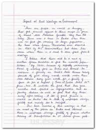 Format For Research Paper Argumentative Academic Essay Examples Of