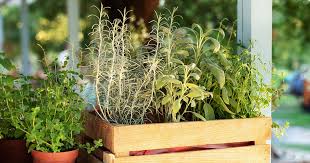 Herb Garden To Your Outdoor Living