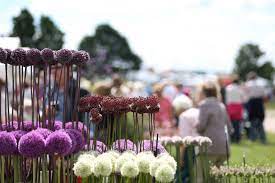 rhs garden hyde hall flower show 2022