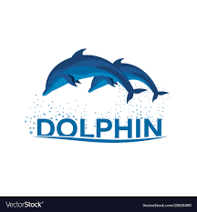 dolphinarium dolphin logo banner flat