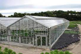Cost Of Smart Glass Multi Span Greenhouse
