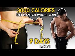 3000 calories indian t plan for