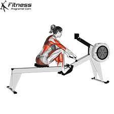 benefits of rowing machine muscles