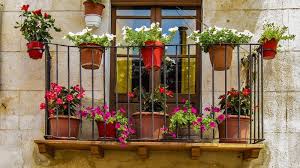 Succulents are a great option for vertical gardens. Balcony Garden Ideas Check What Plants Are Best For Balconies