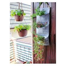 Buy Balcony Vertical Planter Plant