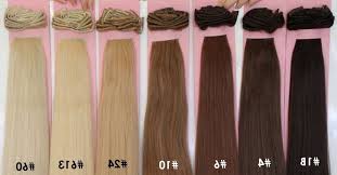 Brown Hair Color Scale Hair Color Chart In 2019 Clip In