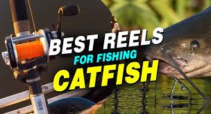 catfish fishing reels