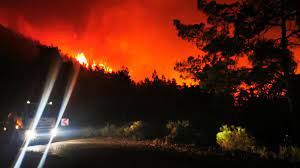 SON DAKİKA HABERLER : MUĞLA MARMARİS'TE ORMAN YANGINI MI VAR? Marmaris  orman yangını son durum.... - Haberler Milliyet