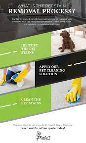 our pet stain removal process koala t