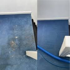 carpet cleaning in the hague