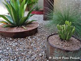 Succulent And Cactus Container Garden