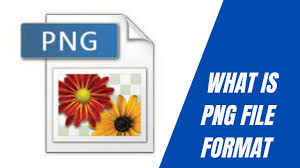 what is png file format you