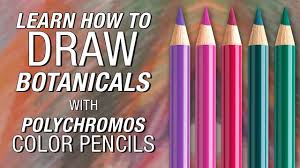 Prismacolor premier colored pencils, soft core, 72 packs. Faber Castell Polychromos Color Pencil Demonstration Youtube