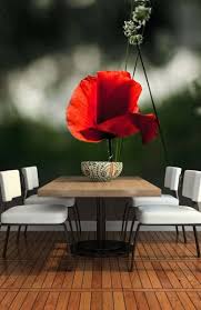 Red Poppy With Grass Wallpaper