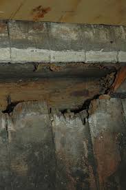 rotted floor joist and backdoor